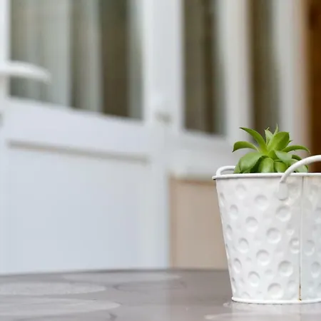 Close To The - Borik * Ζαντάρ