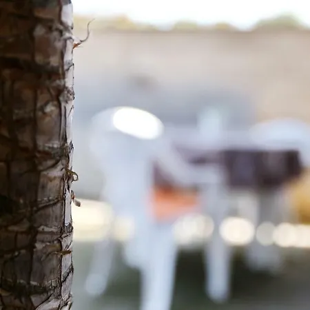 Close To The - Borik * Ζαντάρ