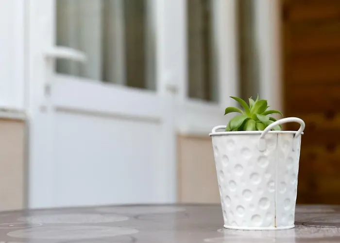 Close To The - Borik * Ζαντάρ