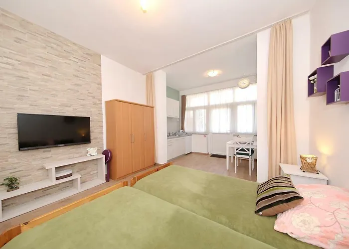 Διαμέρισμα Close To The - Borik Ζαντάρ