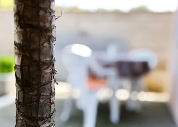 Close To The - Borik * Ζαντάρ